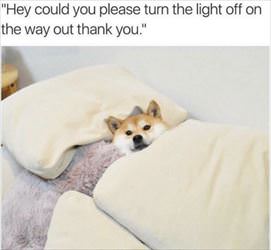 please turn the light off