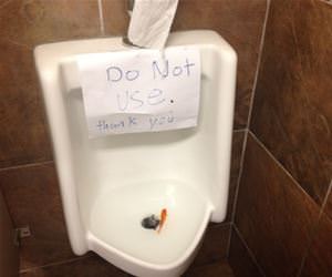 please do not use funny picture