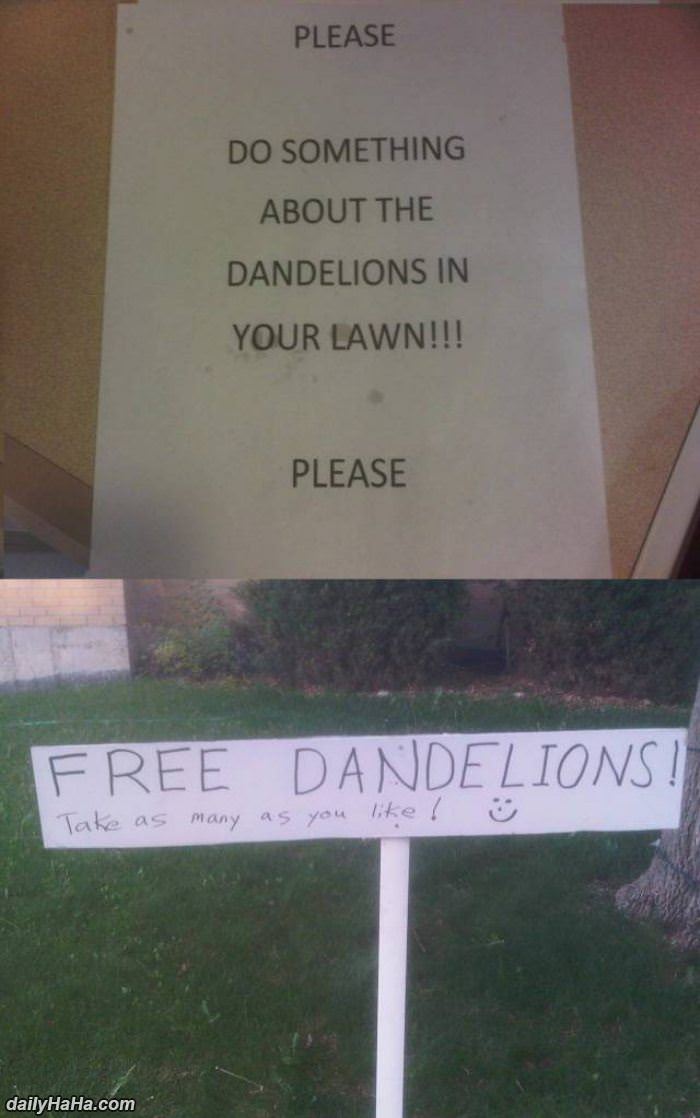 please do something about dandelions funny picture