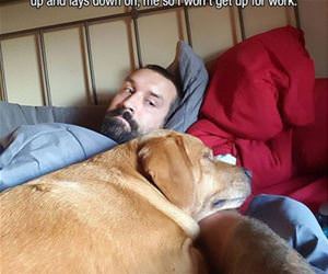 please dont go to work funny picture