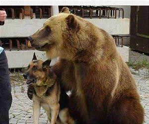 please dont touch funny picture