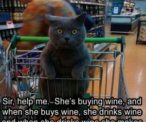 please help man funny picture