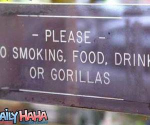 No Gorillas Sign