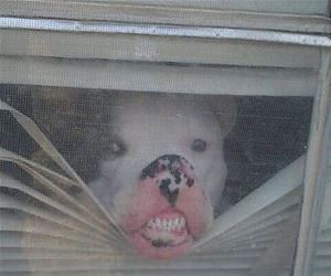 please state your business funny picture