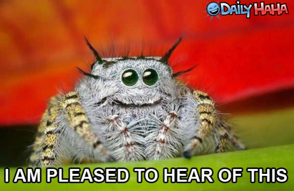 Pleased funny picture