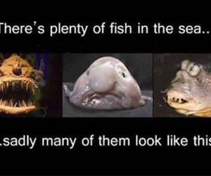 plenty of fish in the sea funny picture