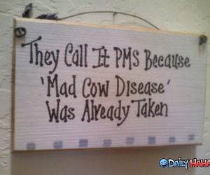 PMS Sign funny picture