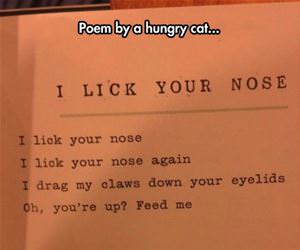 poem by a hungry cat funny picture