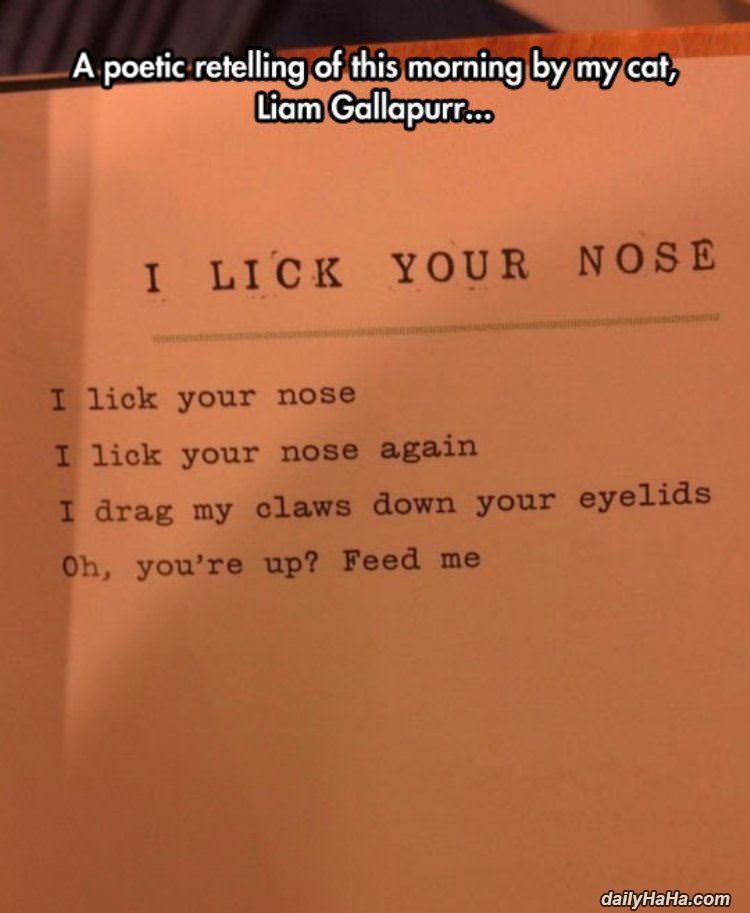 poetic retelling funny picture