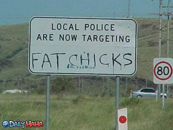 Targeting Fat Chicks Funny Picture