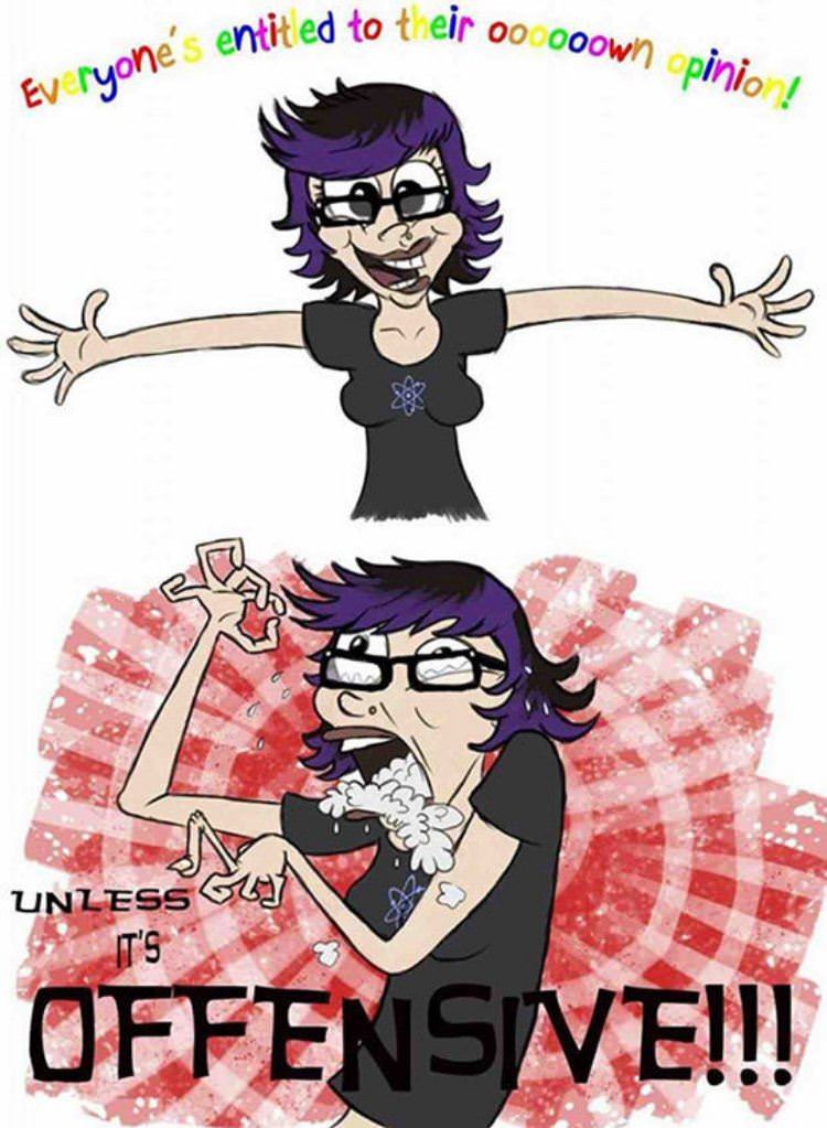 political correctness funny picture