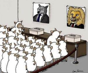 Animal Politics funny picture