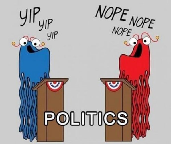Politics funny picture