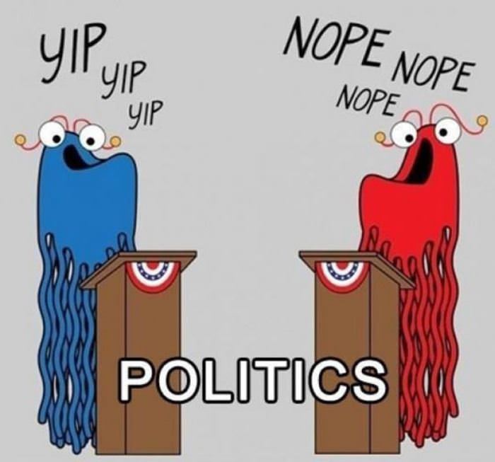 politics in a nutshell funny picture