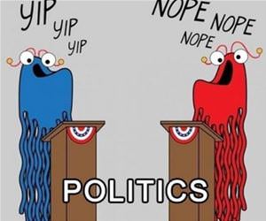 politics in a nutshell funny picture