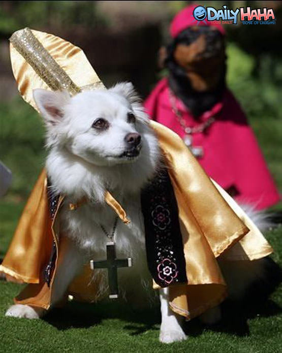 The Popes Dog