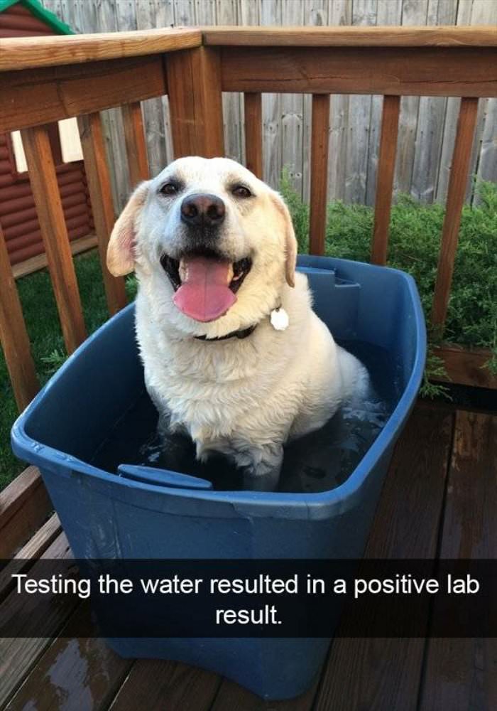 positive lab results