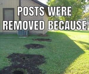 posts were removed
