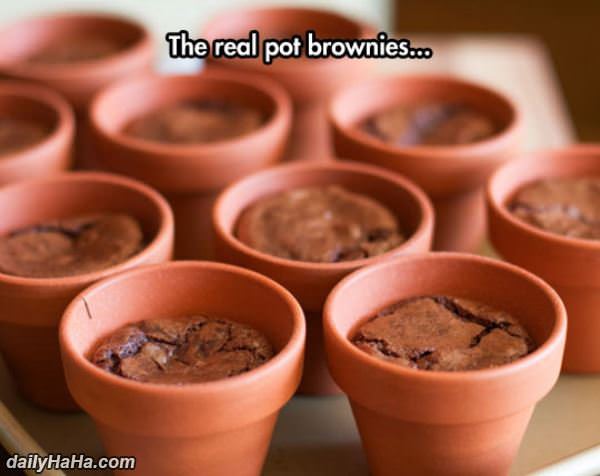 pot brownies funny picture