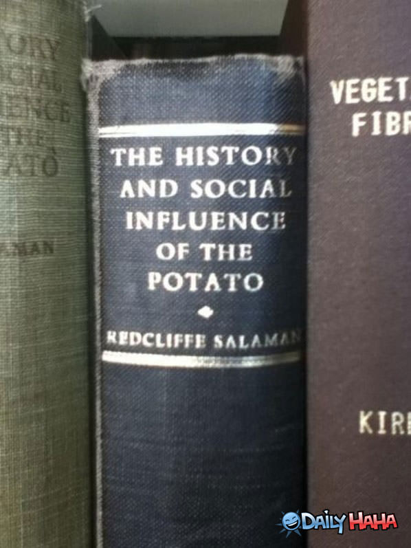 Potato funny picture