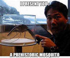 prehistoric-mosquito funny picture