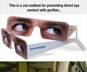 preventing eye contact