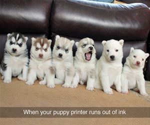 printer runs out of ink funny picture