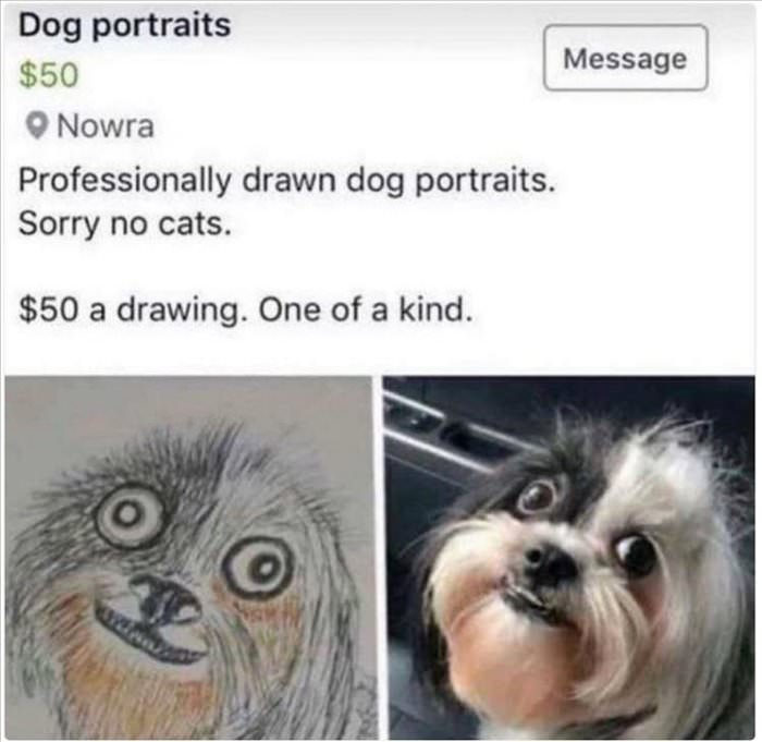 pro dog portraits
