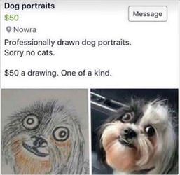 pro dog portraits