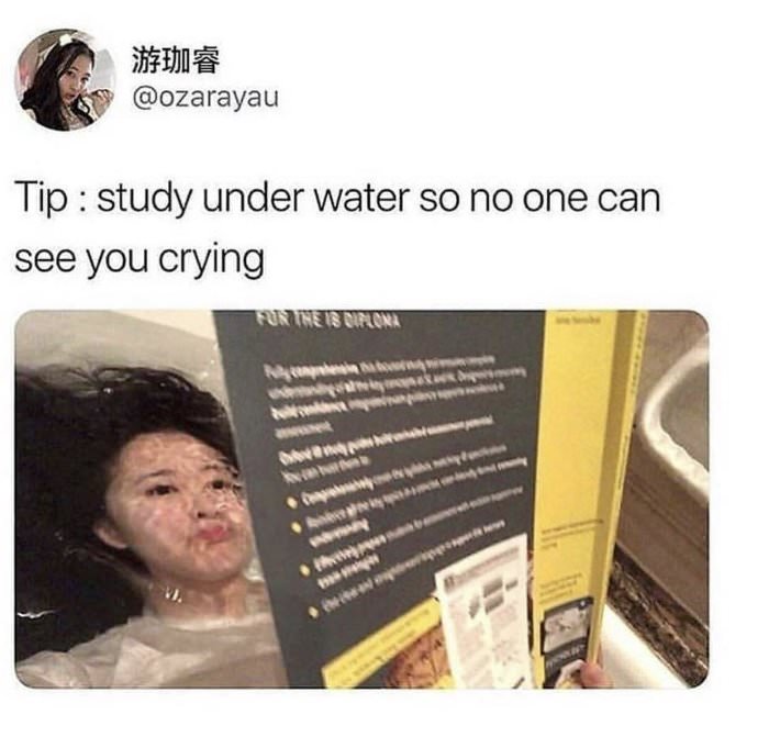 pro tip for studying