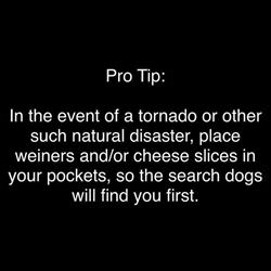 pro tip for you