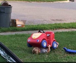 professional hide and seek player funny picture