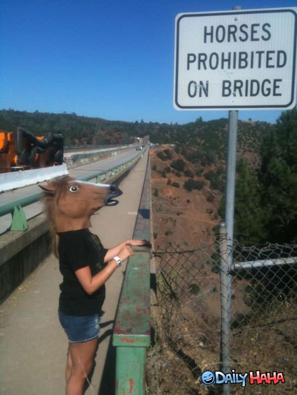 Prohibited funny picture