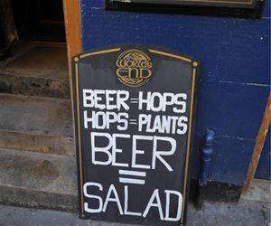 proof beer is salad funny picture