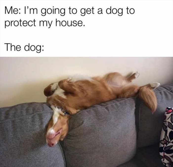 protect my house