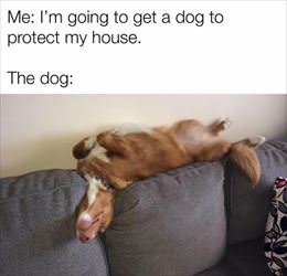 protect my house