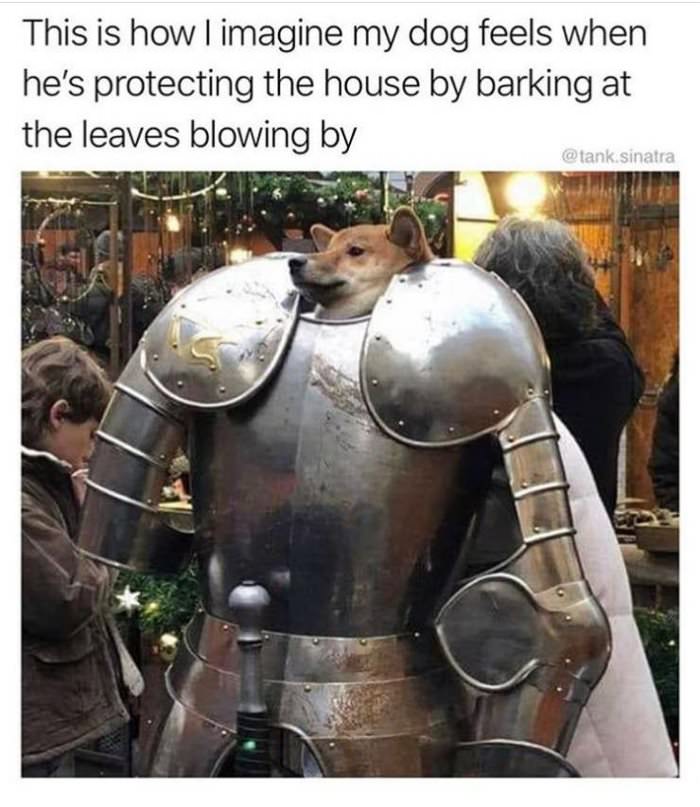 protecting the house