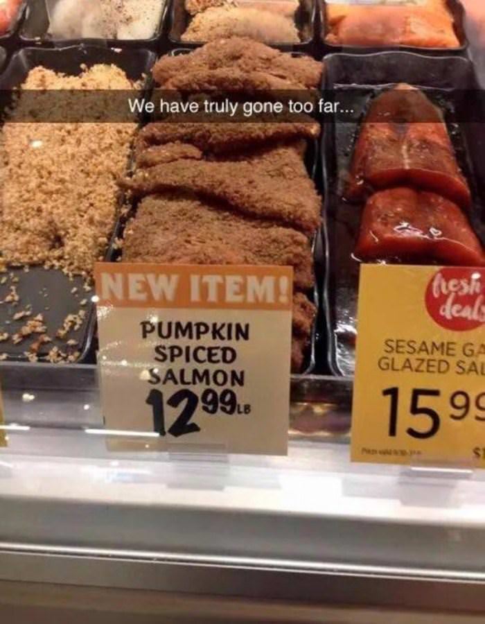 pumpking spice everything funny picture