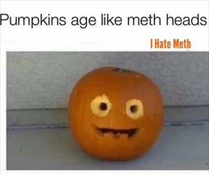 pumpkins age