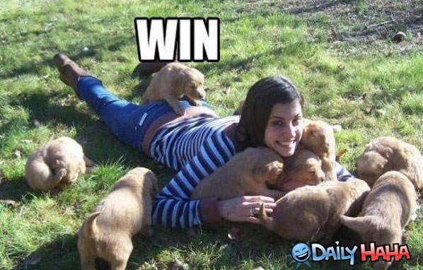 Puppy Wins funny picture