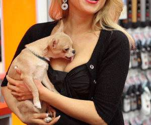 Puppy Boob Licker Picture