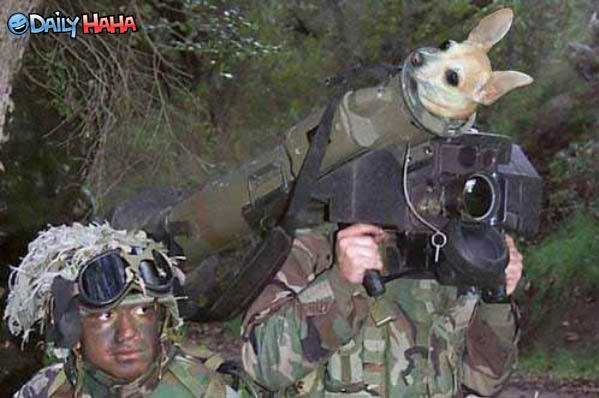 Puppy Launcher Funny Pic.