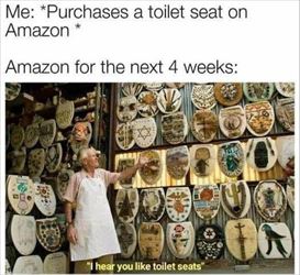 purchase toilet seat