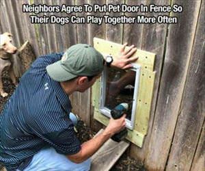 put in a pet door