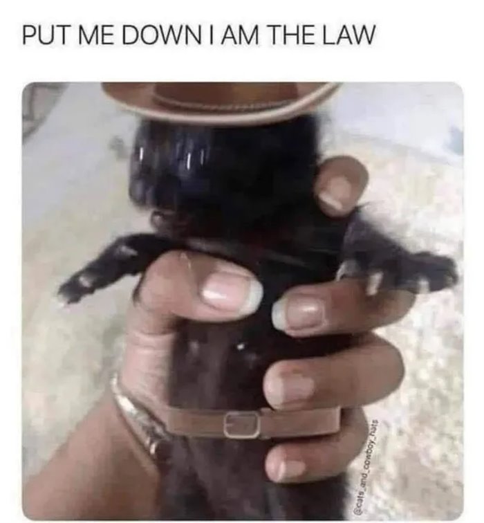 put me down