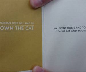 put down the cat funny picture