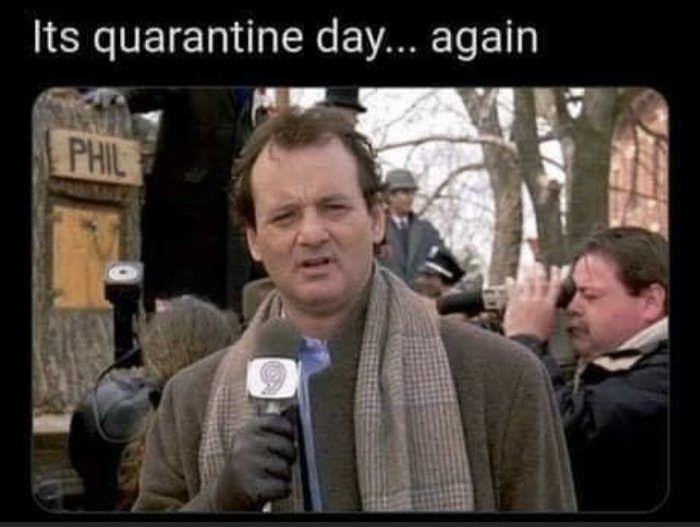 quarantine day again