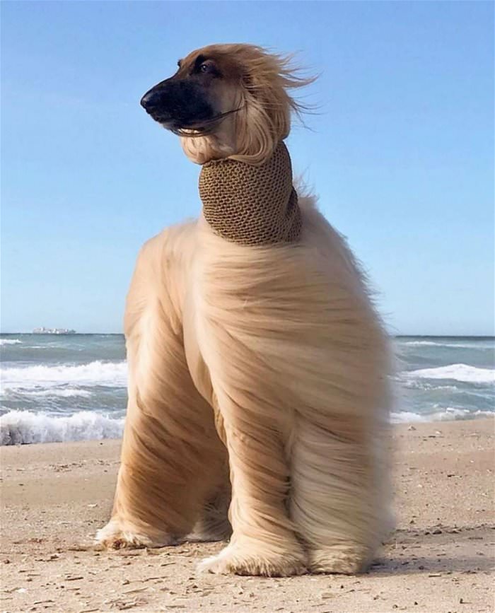 quite a windy day