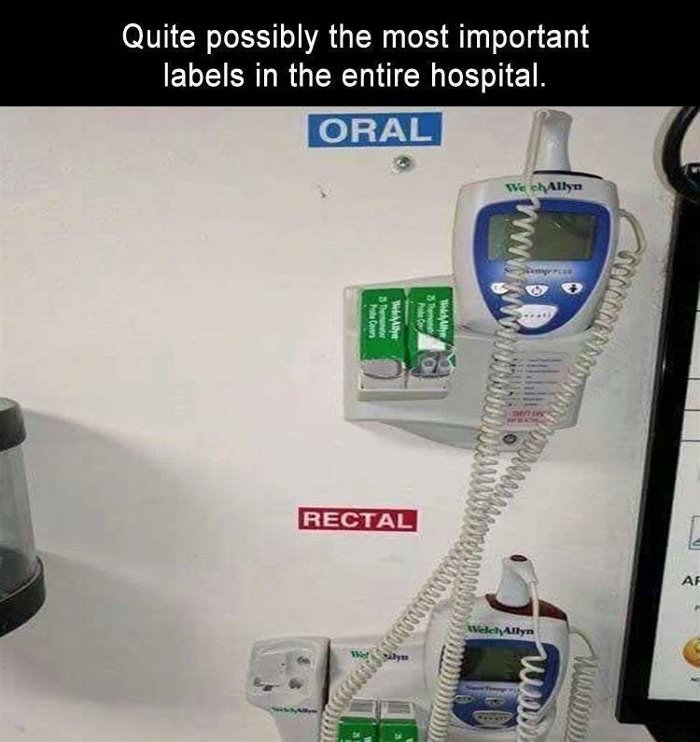 quite possibly the most important