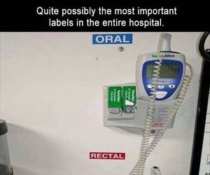 quite possibly the most important